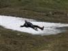 Bild 7: Migel hat einen Rest Schnee gefunden